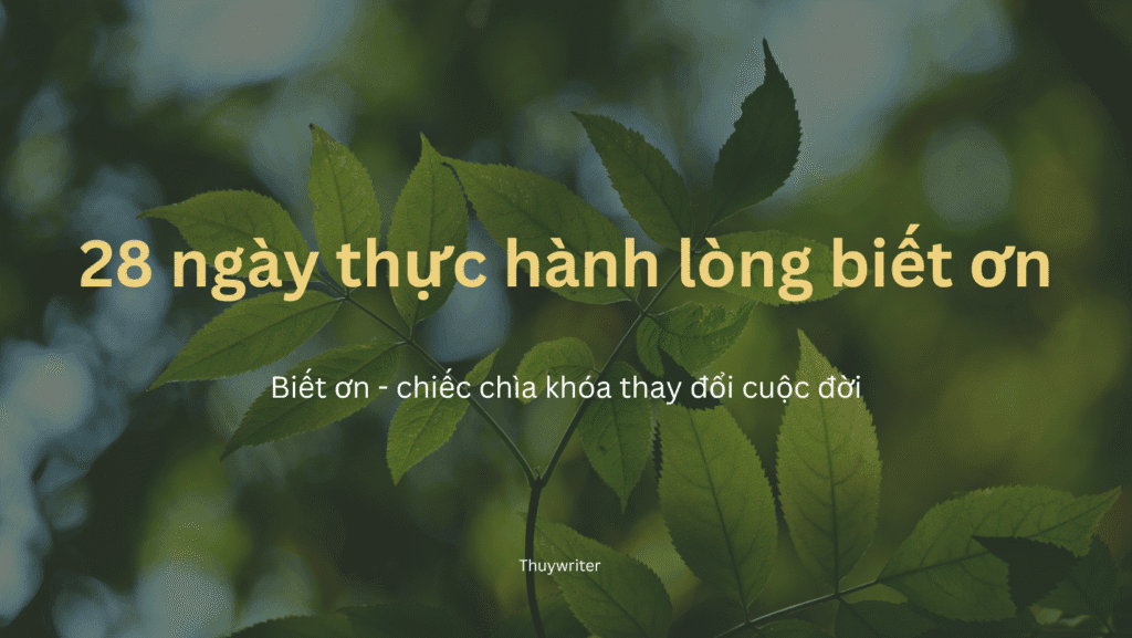 28 ngày thử thách lòng biết ơn – Hành trình thay đổi bản thân