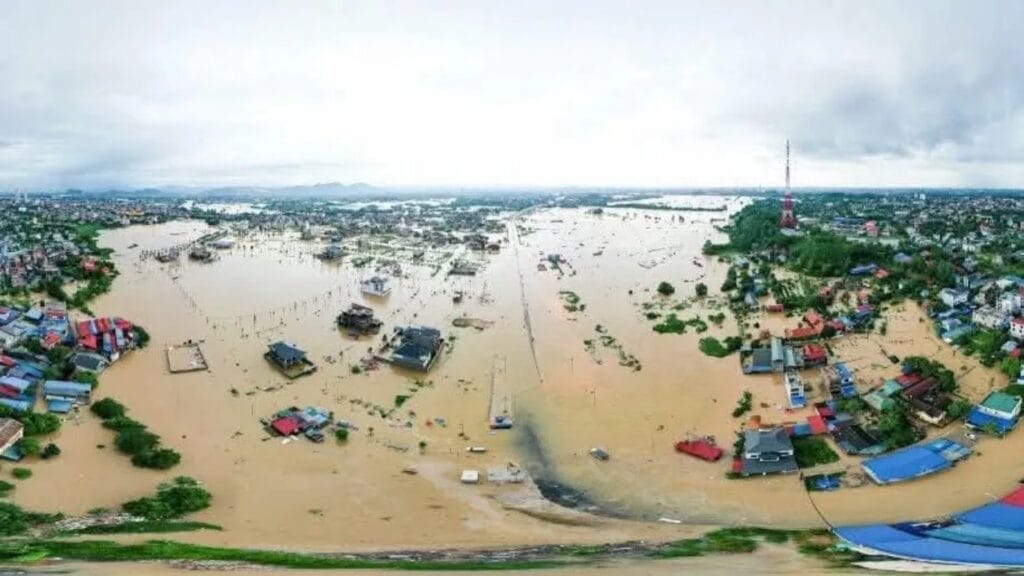 Thương lắm đồng bào tôi