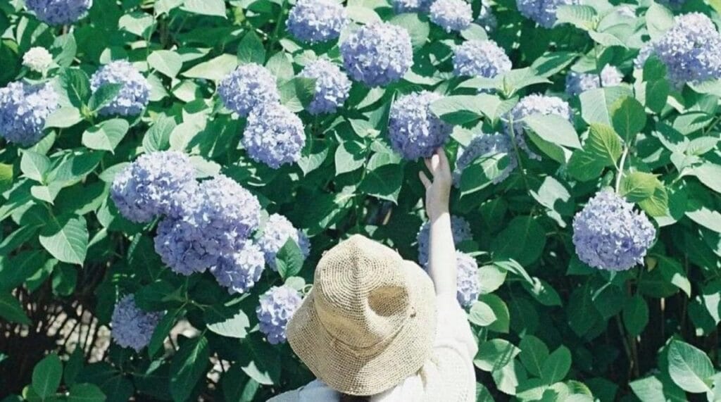 Trưởng thành là khi biết tha thứ cho chính mình