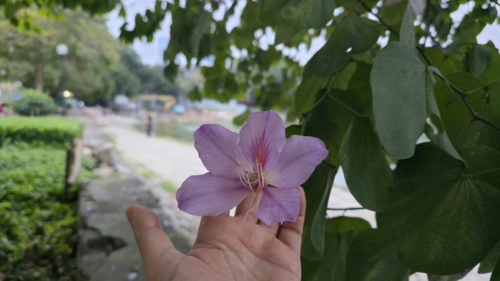 Phụ nữ nên yêu thương bản thân